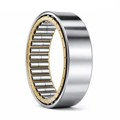 Double Row Cylindrical Roller Bearings